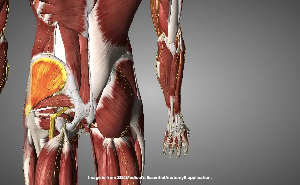 Runner's Glute pain